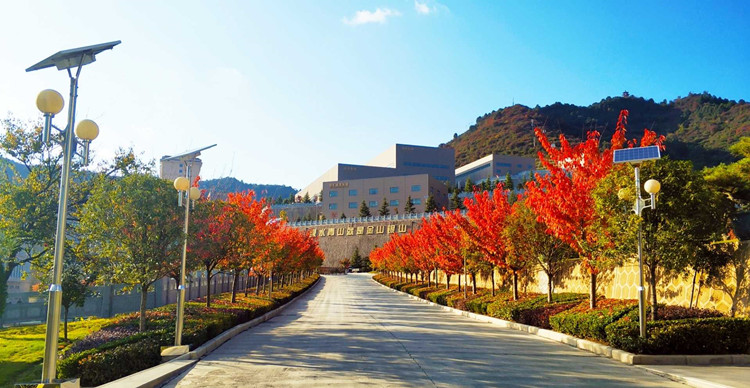 202109271632702829128019.jpg 4.jpg